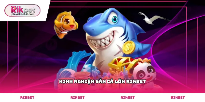 Kinh nghiệm săn cá lớn Rikbet hiệu quả nhất khi boss xuất hiện
